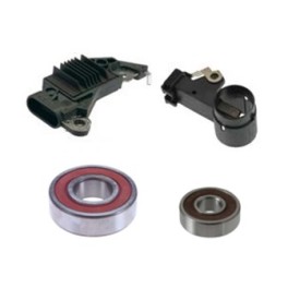 Delco CS121D 12V Alternator Repair Kit