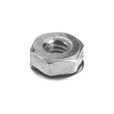 Hex Nut