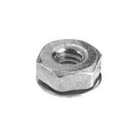 Hex Nut
