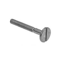 Slotted Screw