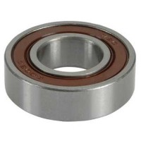 Ball Bearing - 6003RS