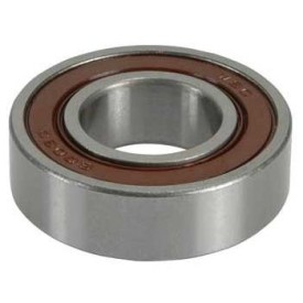 Ball Bearing - 6003RS
