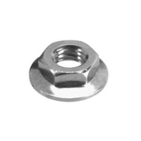 Hex Nut