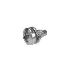 Phillips Screw