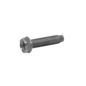 Hex Screw