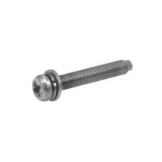 Phillips Screw