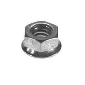 Hex Nut
