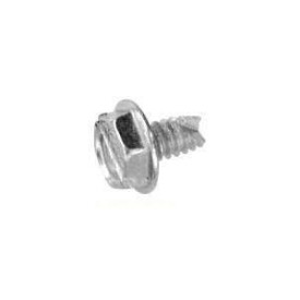 Hex Screw