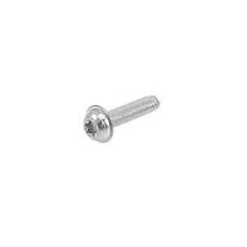 Torx Screw