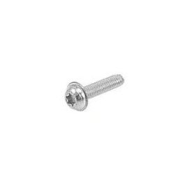 Torx Screw