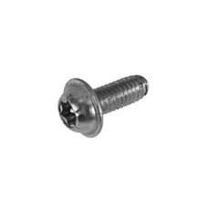 Torx Screw