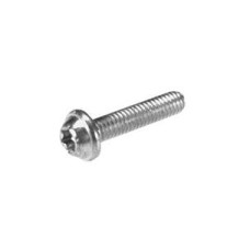 Torx Screw