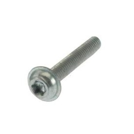 Torx Screw Torx Screw