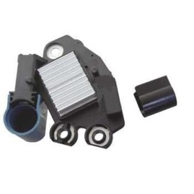 Regulator/Brush Assembly