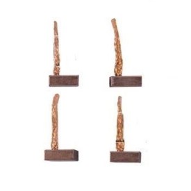 Brush Set, 12V