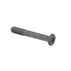 Phillips Screw
