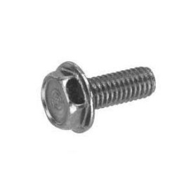 Hex Screw