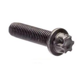 Torx Screw,