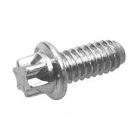 Torx Screw
