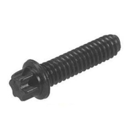 Torx Screw