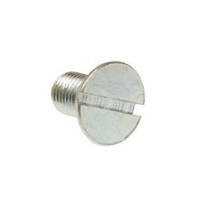 Slotted Screw