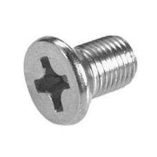 Phillips Screw
