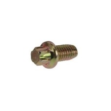 Torx Screw