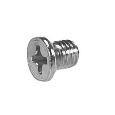 Phillips Screw