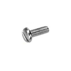 Slotted Screw