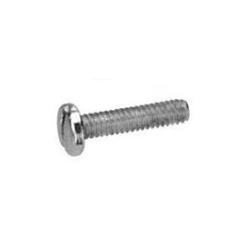 Slotted Screw