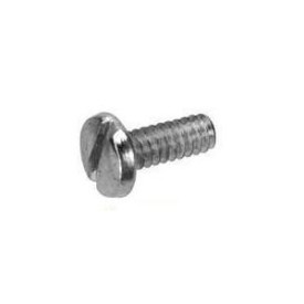 Slotted Screw