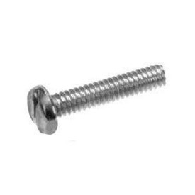 Slotted Screw