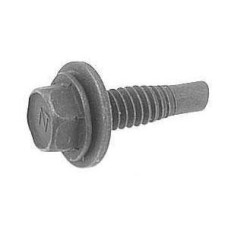 Hex Screw