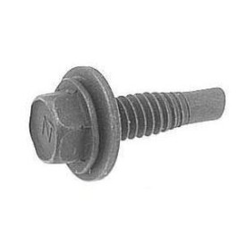 Hex Screw