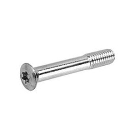 Torx Screw