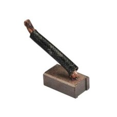 Brush, Field 12V