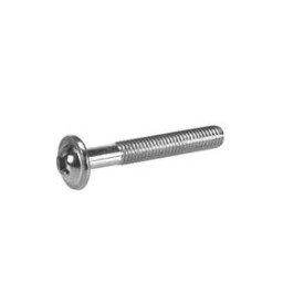 Phillips Screw